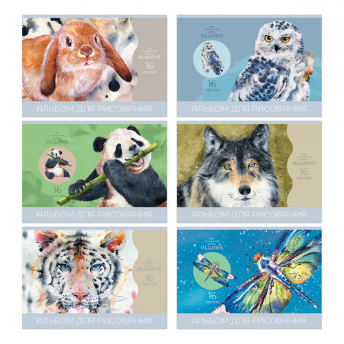 9fd068309581af79e34ee0aa89d0a9e5