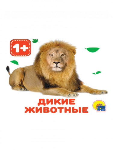 47704a2e207057e902c898882e478981