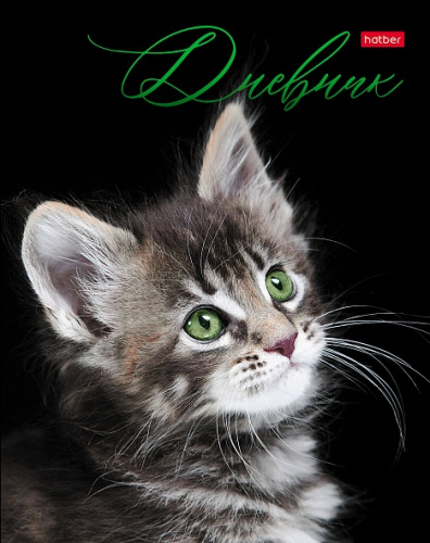 fftx5cmcoz9obk3ve0g1vuud09utep7l