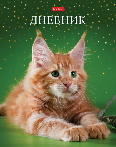 aw5plyeisz9jt2od1ne6dn7ravjjf0up