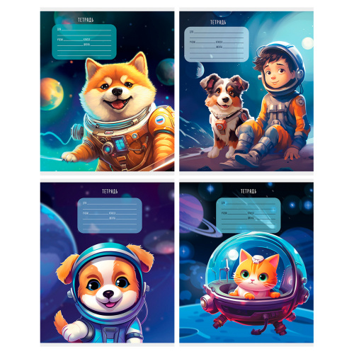 Т5ск12_вл 57313