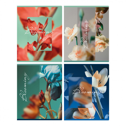 Т5ск48_мл 12712