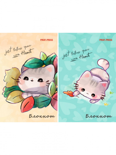 5b5f497162dc19edee3b8b1e1136a8e4