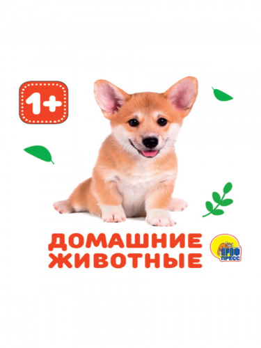 1ee3f087960f2ea235da31d97ea5b4b5