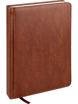 ЕЖЕДНЕВНИК А5, 160л. недатир. EVERYDAY CHRONICLES - CHOCO (160-5028) кожзам (коричневый)