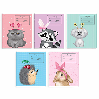 Тетрадь школьная ученическая, 12 л, косая линия, арт. 70202/ 10 ОЧАРОВАШКИ /А5+, мягкий переплёт (2 