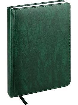 ЕЖЕДНЕВНИК А5, 160л. недатир. EVERYDAY CHRONICLES - EMERALD (160-5030) кожзам (зеленый)