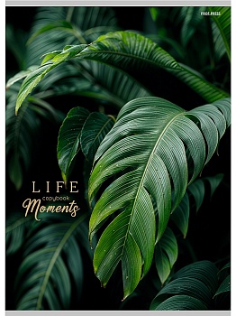 Тетрадь КЛЕТКА 96л. А4 ЗЕЛЁНЫЕ ЛИСТЬЯ - 5 (96-8927) 4+4, тиснение холст