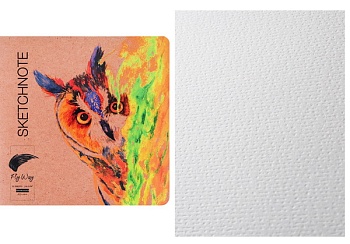 TM "FlyWay"Скетчноут 12л. ЛЮБОПЫТНАЯ СОВА-1 (12-7962) сшивка, 210г/м2, 50%хлопок, 4+4, 185х185