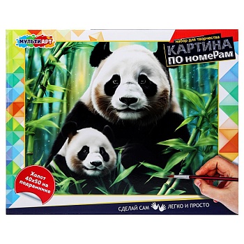 381976 Холст по номерам 40*50 см холст по номерам МУЛЬТИ АРТ в кор.24шт