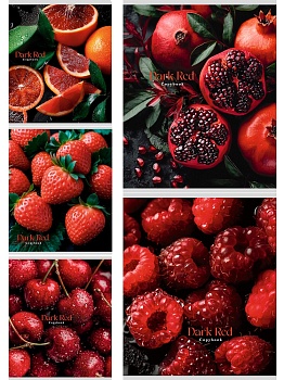 TМ"Profit"Тетрадь А5 КЛЕТКА 48л. ФРУКТЫ И ЯГОДЫ - 3 (48-9055) цвет. мелов. обл.