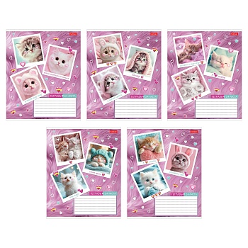 24Т5В1 Тетрадь 24л А5ф клетка 60-65г/кв.м на скобе  5 диз.в блоке скругл.углы серия -Мяу-статусы-