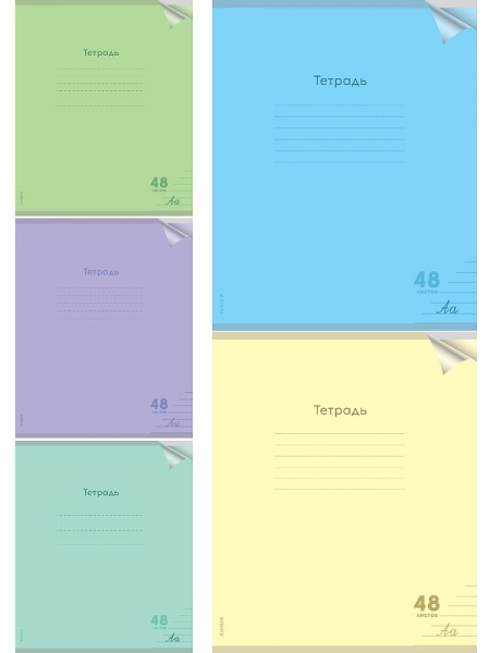Тетрадь ЛИНИЯ 48л. проз.пласт.обл. plastic cover КЛАССИКА NEW (48-1476) ассорти 5 цветов