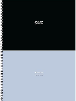 Альбом для рисования А4 40л. КЛАССИКА ОДНОТОННАЯ - 8 (40-9094) 2 диз. в сп., гребень, офсет