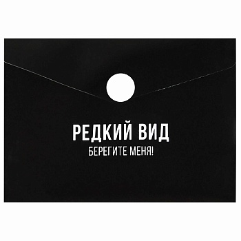 Папка для карт и визиток пластиковая Феникс+, арт. 69041/ 12 ФРАЗЫ С ХАРАКТЕРОМ (полипропилен, 10.5х