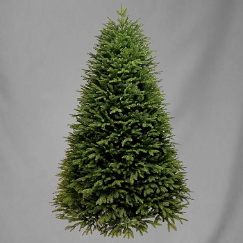 ЕЛЬ ИСКУСТВЕННАЯ, DARLENS "КАВКАЗКАЯ", 180 СМ, ЛИТАЯ, 1451 ВЕТОК, МЕТАЛЛИЧЕСКИЕ НОЖКИ 50 СМ