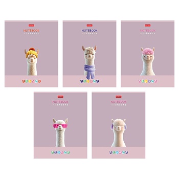 48Т5лВ1 Тетрадь 48л А5ф клетка 60-65г/кв.м на скобе ламинация Soft-touch 5 диз.-ALPACA-