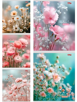 TМ"Profit"Тетрадь А5 КЛЕТКА 48л. НЕЖНЫЕ ЦВЕТОЧКИ - 11 (48-9070) цвет. мелов. обл.