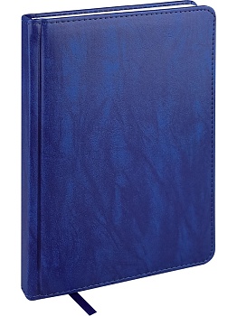 ЕЖЕДНЕВНИК А5, 160л. недатир. EVERYDAY CHRONICLES - BLUE (160-5026) кожзам (синий)
