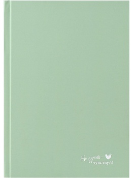 ЕЖЕДНЕВНИК А5,128л. ПАСТЕЛЬНЫЙ ЗЕЛЁНЫЙ (128-6702) 7БЦ, софт-тач однотонный, недат