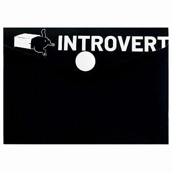 Папка для карт и визиток пластиковая Феникс+, арт. 69040/ 12 ИНТРОВЕРТ (полипропилен, 10.5х7.4 см, 1