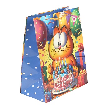 403003 Пакет подарочный глянцевый l,рыжий Кот,140 гр/м2 ЧУДО ПРАЗДНИК в кор.10*12шт