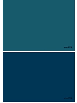 Альбом для рисования А4 40л. КЛАССИКА ОДНОТОННАЯ - 1 (А40-4663) 2 диз.в сп, скреп, картон. обл., офс