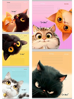 Тетрадь ДОП.КОСАЯ ЛИНИЯ 12л. КОШАЧЬИ МОРДОЧКИ - 4 (12-4466) цвет.мелов.обл.,5 диз. в спайке